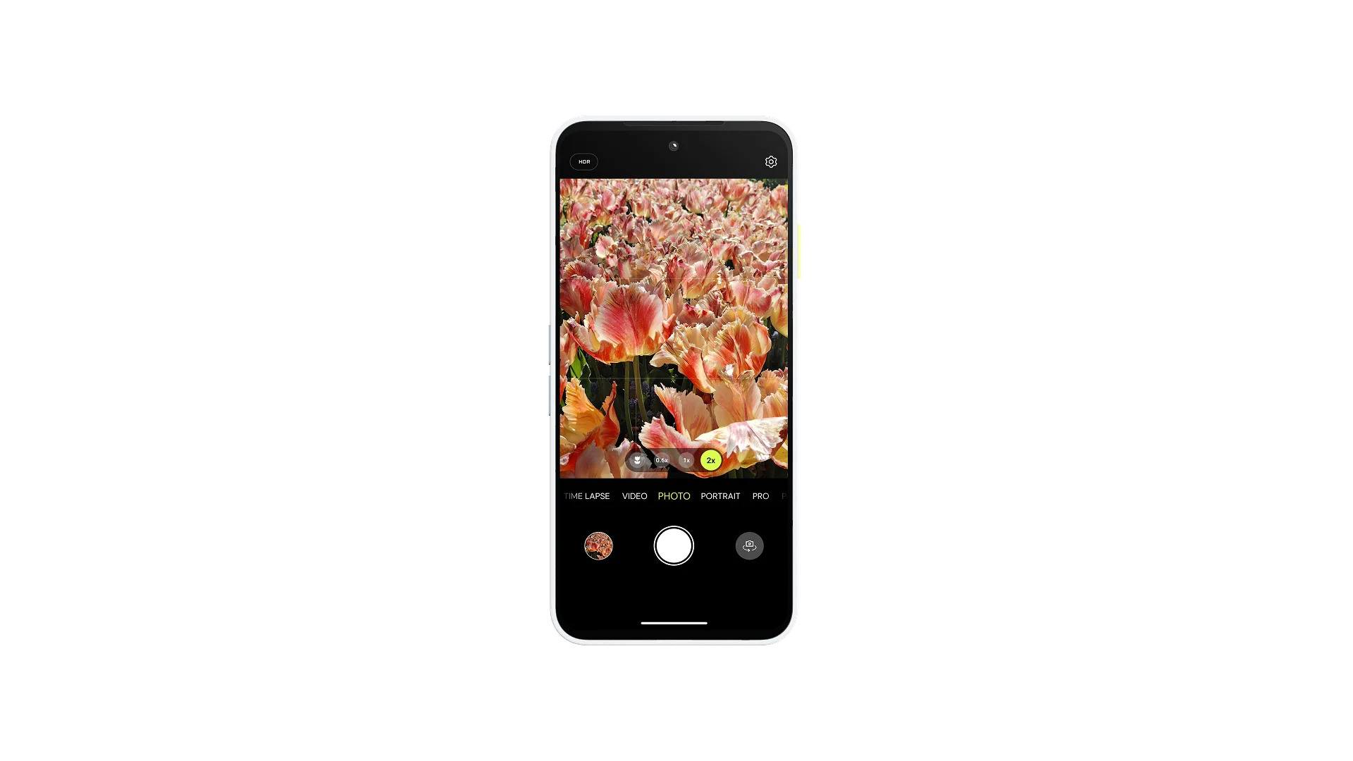 Fairphone 6 camera app taking a picture of a bed of pink tulip flowers with a grid guide